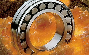  Bearing and Lubrication Management